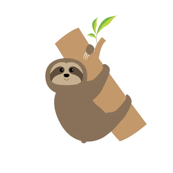 Sloth hugs tree branch — Stock Vector