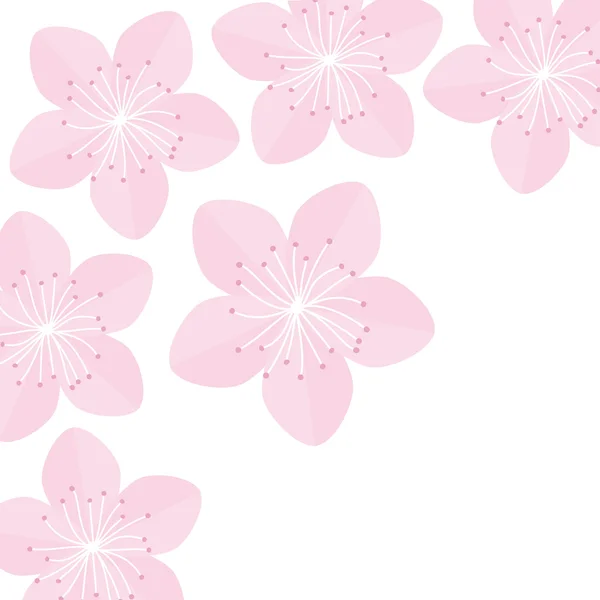 Sakura virágokat elkülönített fehér — Stock Vector