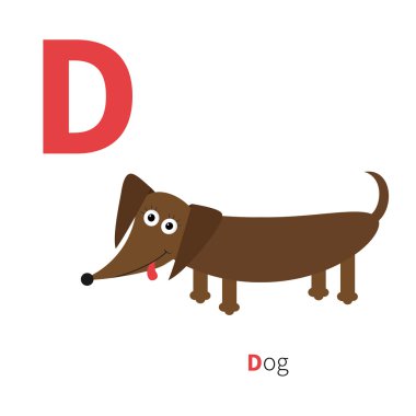 Hayvanlarla İngilizce abc 