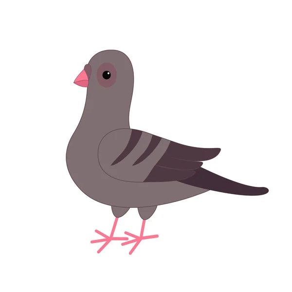 귀여운 만화 비둘기 — 스톡 벡터
