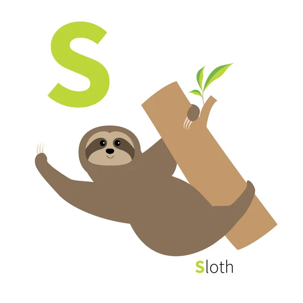 Lettre S et Sloth — Image vectorielle