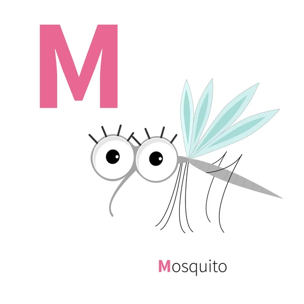 Letra M y Mosquito — Archivo Imágenes Vectoriales