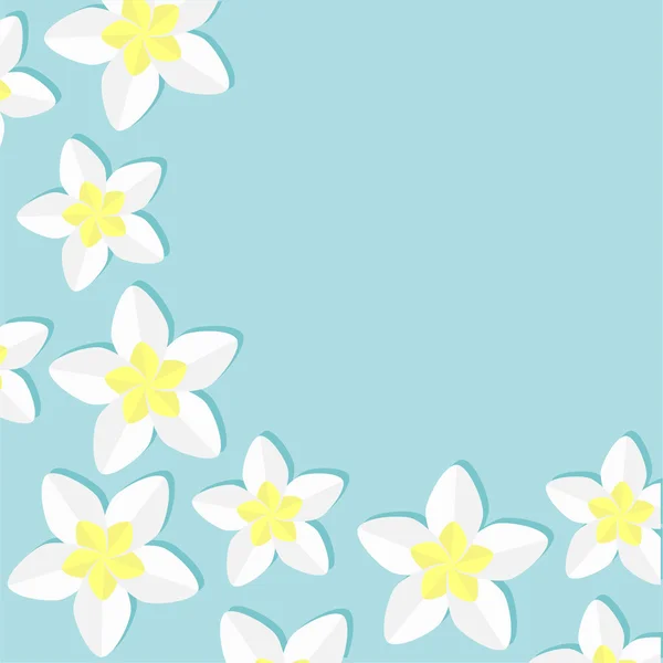 プルメリアの熱帯の花 — ストックベクタ