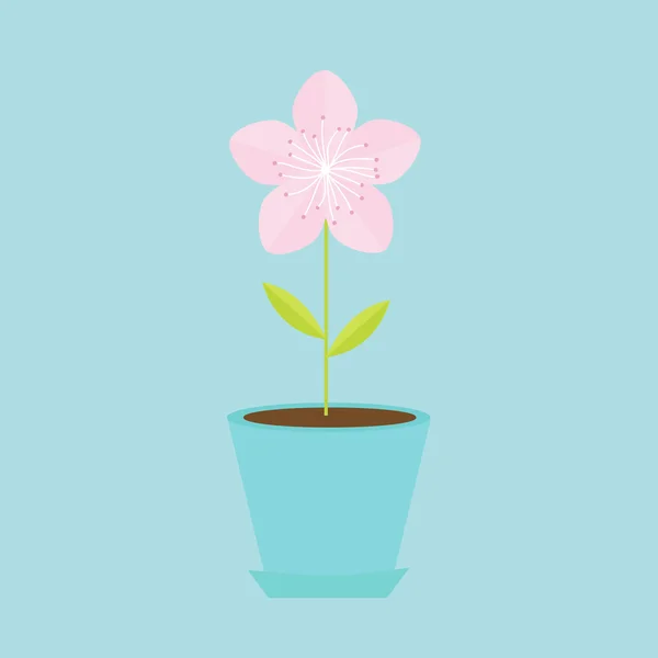 Sakura blomma i potten — Stock vektor