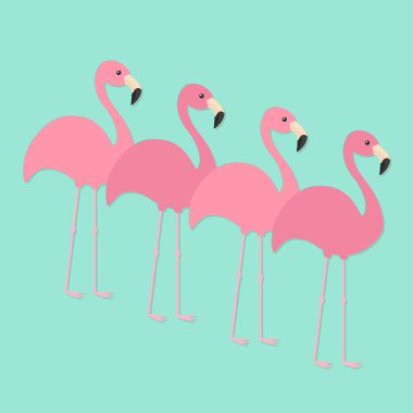 Dört pembe flamingo seti. 