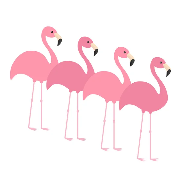 Cuatro flamencos rosados — Vector de stock