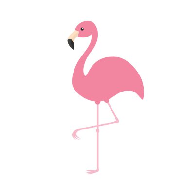 Pembe Flamingo. Egzotik Tropikal Kuş.