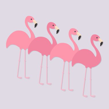 Dört pembe flamingo seti. 