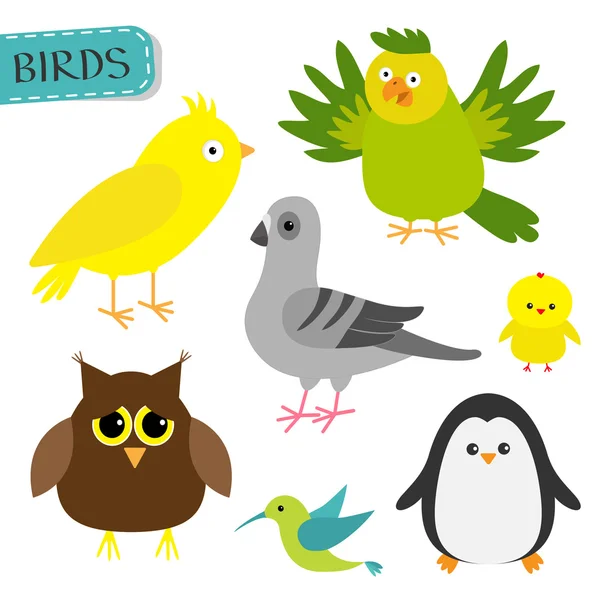 Bird set. Cute cartoon characters icon. — Stock Vector