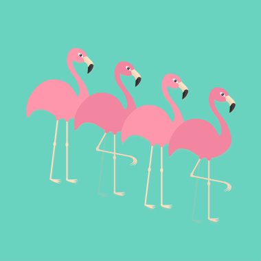Pembe flamingo seti