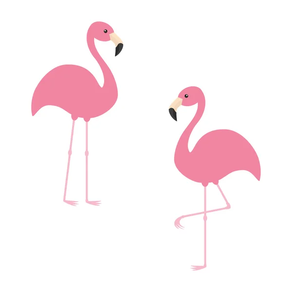 Dois flamingos rosa conjunto — Vetor de Stock