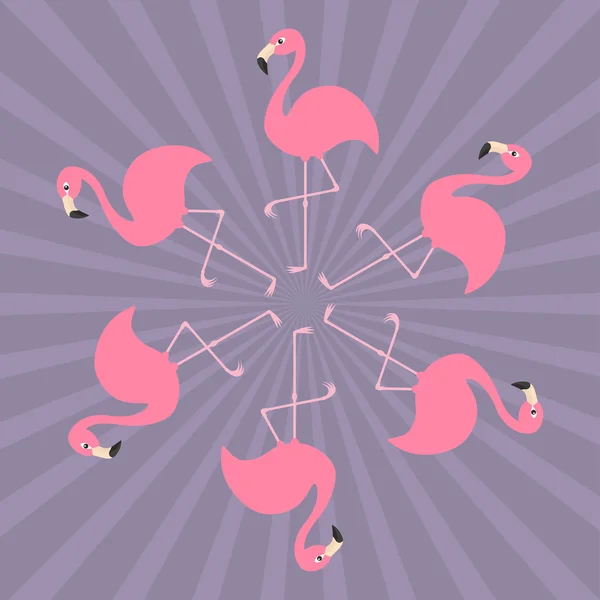 Розовые фламинго на ноге — стоковый вектор