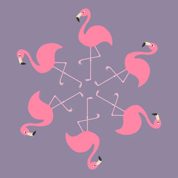 Roze flamingo's op een been. — Stockvector