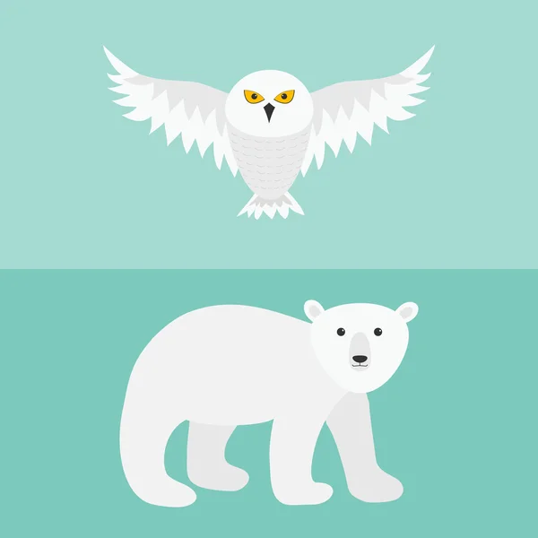 Летучий белый сова и белый медведь — стоковый вектор