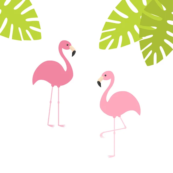 İki pembe flamingo seti — Stok Vektör