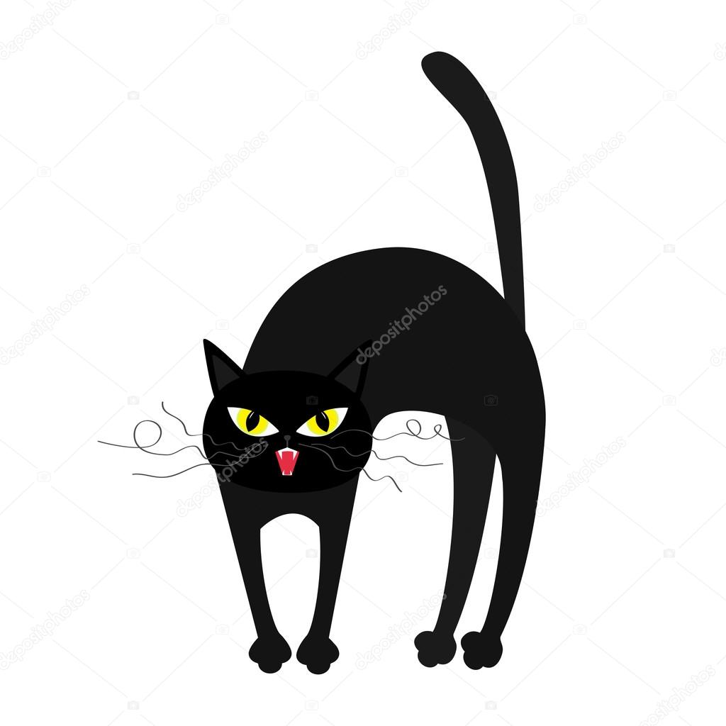 Black cat arched back cheap