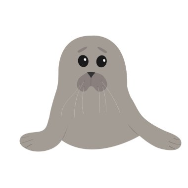 Sevimli fok yavrusu bebek ARP. 