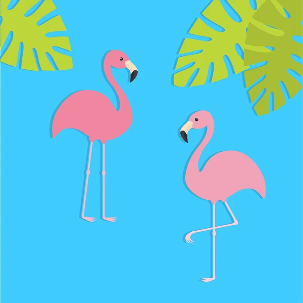 Twee roze flamingo — Stockvector