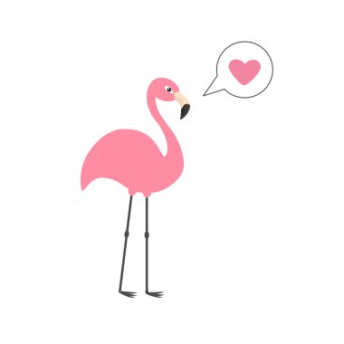 Uzun boylu pembe flamingo
