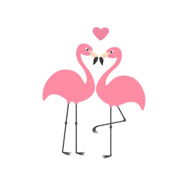 Pink flamingo couple and heart.  clipart