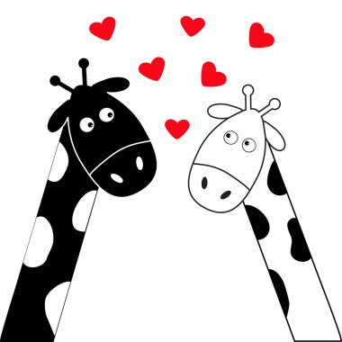 Cute cartoon black and  white giraffe boy and girl  clipart