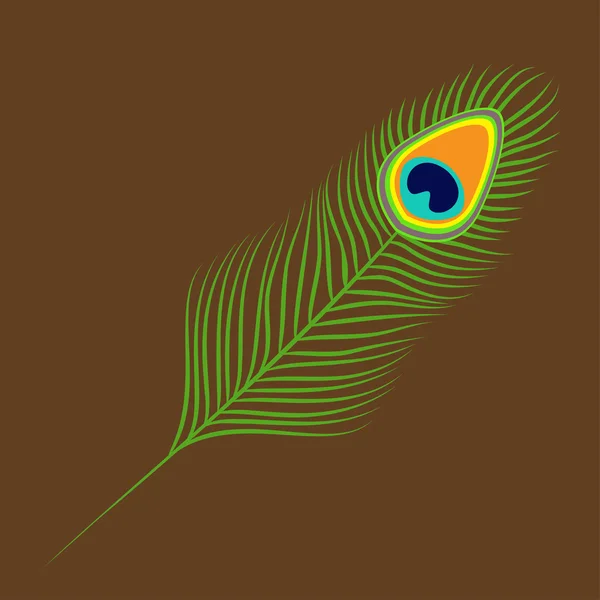 Plume de paon. Oiseau exotique tropical queue colorée . — Image vectorielle