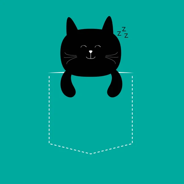 Kočka spící v kapse. — Stockový vektor
