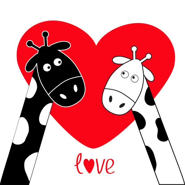 Leuke cartoon zwart-wit Giraffe jongen en meisje groot rood hart. — Stockvector