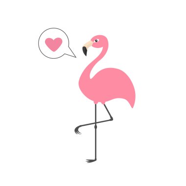 Pembe Flamingo tek ayak üzerinde.  