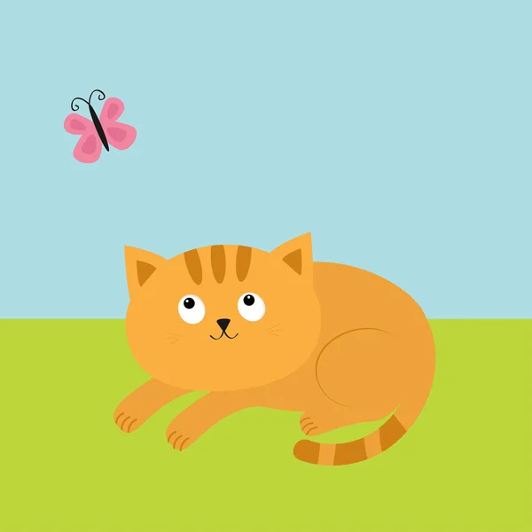 Carino gatto arancione rosso sdraiato sull'erba e guardando volare farfalla rosa . — Vettoriale Stock