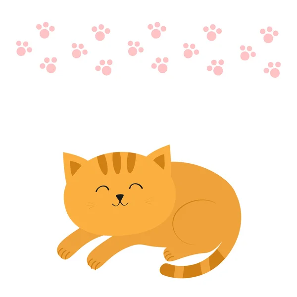 Schattig leggen slapen oranje kat met snor whisker. — Stockvector