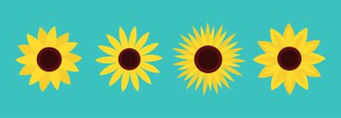 Ayçiçeği çizgisi. Dört sarı güneş çiçeği ikonu. Şirin bir bitki koleksiyonu. Aşk kartı sembolü. Büyüyen konsept. Düz dizayn. Yeşil arka plan. İzole edilmiş. Vektör illüstrasyonu
