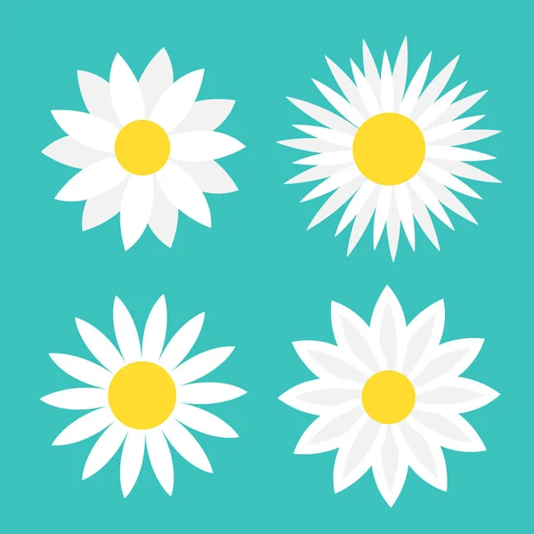 Camomile Set Four White Daisy Chamomile Icon Cute Flower Plant — Stock Vector