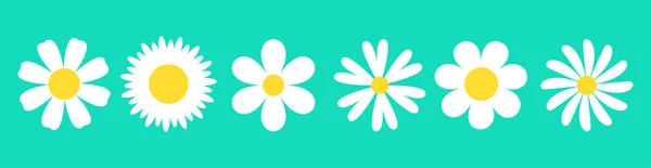 ホワイトデイジーカモミールセット カモミールアイコンラインバナー かわいい丸い花の頭植物の自然コレクション 装飾要素 愛のカードのシンボル 成長する概念 フラットデザイン 緑の背景 ベクトル — ストックベクタ