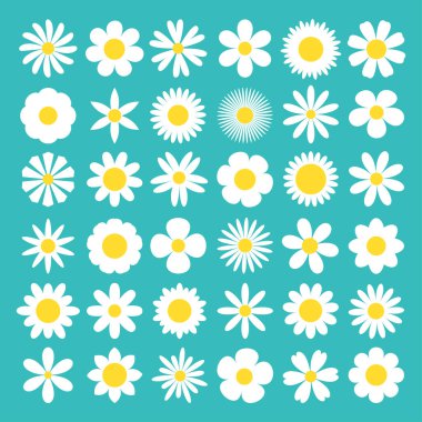Beyaz papatya çayı ikonu. Camomile süper büyük set. Şirin, yuvarlak, çiçek kafalı doğa koleksiyonu. Dekorasyon elemanı. Aşk kartı sembolü. Büyüyen konsept. Düz dizayn. İzole edilmiş Yeşil Arkaplan Vektörü