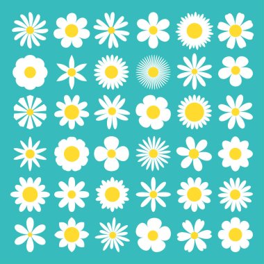 White daisy chamomile icon. Camomile super big set. Cute round flower head plant nature collection. Decoration element. Love card symbol. Growing concept. Flat design. Isolated Green background Vector clipart