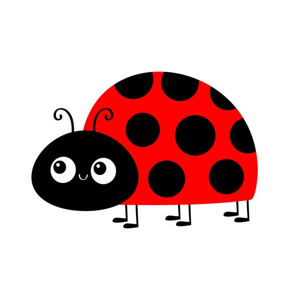 Lady Bug Ladybird Insect Ladybug Icon Cute Cartoon Kawaii Funny — Vetor de Stock