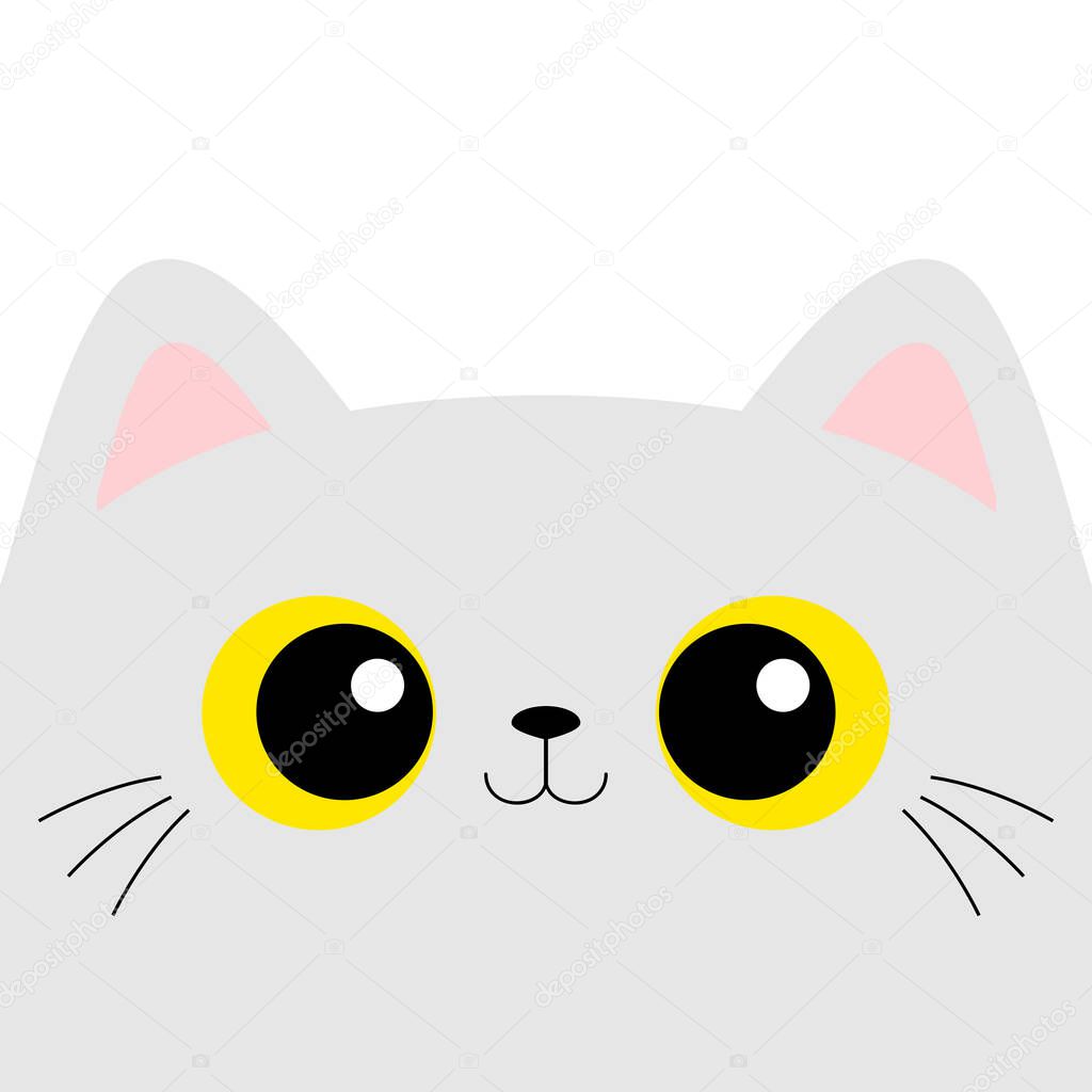 Gato Blanco Cabeza Cuadrada Cara Gato Kawaii Bebé Animal Compañía Vector de  stock por ©worldofvector 458802930, image size:1024x1024