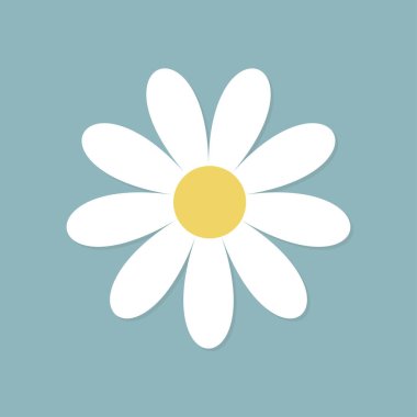 Beyaz papatya çiçeği yuvarlak ikonu. Şirin bitki koleksiyonu. Papatya yaprağı. Aşk kartı. Büyüyen konsept. Sevgililer Günün kutlu olsun. Düz dizayn. Koyu mavi arka plan. İzole edilmiş. Vektör