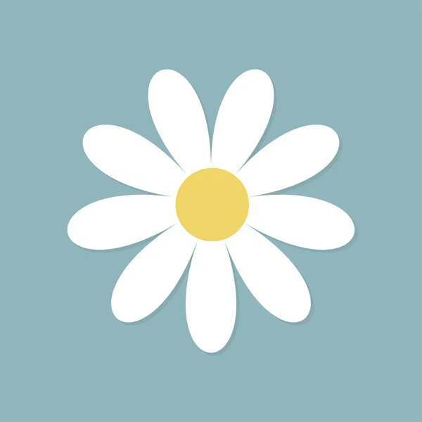 Witte Madeliefje Kamille Bloem Ronde Pictogram Leuke Plantenverzameling Kamilleblaadje Liefdeskaart — Stockvector