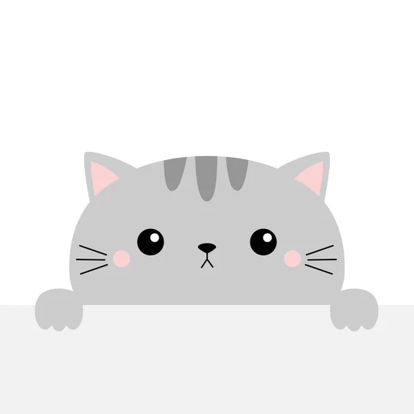 Gato Gris Sosteniendo Papel Vacío Mesa Lindo Dibujos Animados Kawaii — Vector de stock