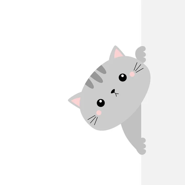 Gray Cat Holding Big Empty Signboard Cute Cartoon Kawaii Funny — Stock Vector