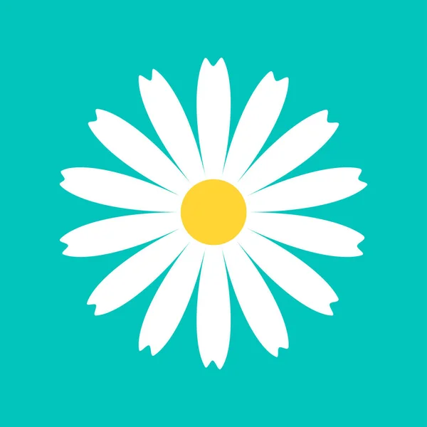 Icône Ronde Marguerite Camomille Une Fleur Blanche Pétale Camomille Jolie — Image vectorielle