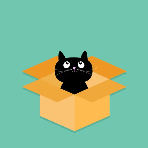 Cat inside opened cardboard package box. — Stock Vector