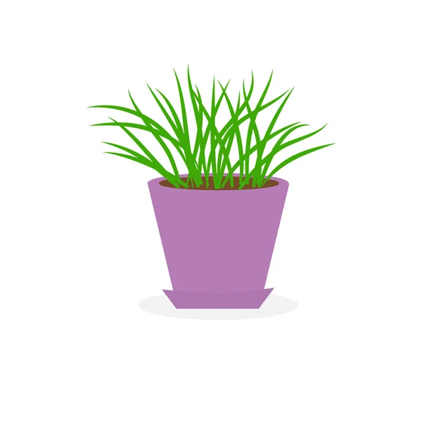 Grass Growing in flower pot — Stock Vector