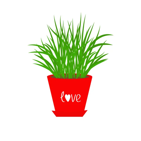 Grass Growing in red pot — Stock Vector