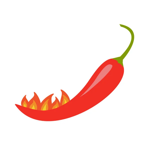 Hot Red Chili Jalapeno Pepper — Stock Vector