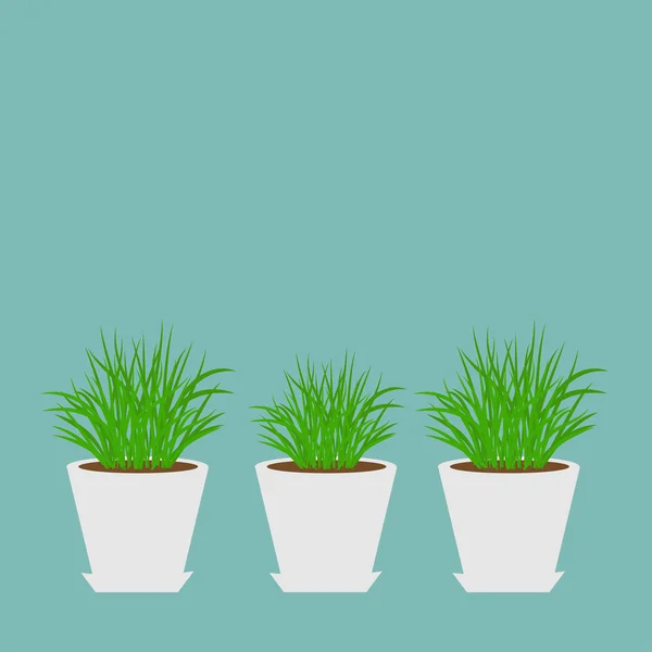 Ollas con hierba en crecimiento — Archivo Imágenes Vectoriales