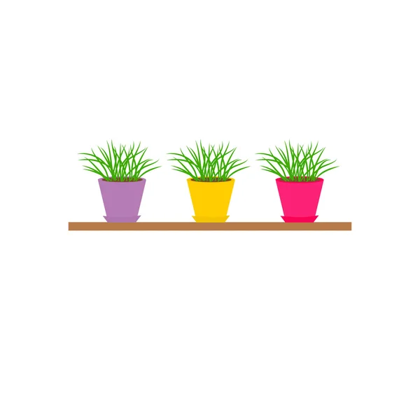 Colorful pots with grass — Stock Vector