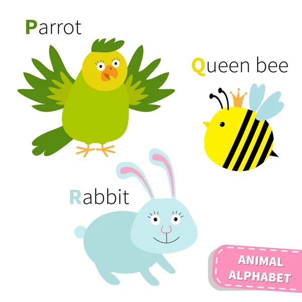 Lettre P Q R alphabet Zoo. Abc anglais avec animaux Cartes éducatives pour enfants Isolé Blanc fond Design plat — Image vectorielle